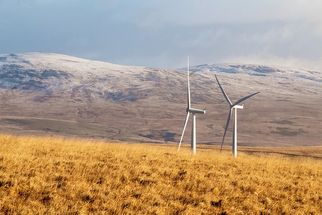 W-ekosolarzory-2025-04-ekosolarzory_energia-odnawialna_28_2 W-ekosolarzory-2025-04 - ekosolarzory_energia odnawialna_28_2.jpg