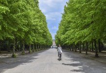 Werka - studia projektowanie terenów zieleni (5).jpg