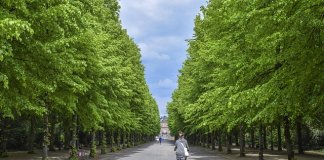 Werka - studia projektowanie terenów zieleni (5).jpg