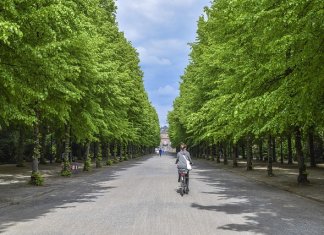 Werka - studia projektowanie terenów zieleni (5).jpg