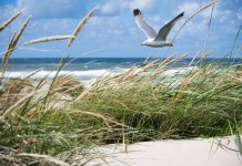 Noclegi Świnoujście dla miłośników natury – gdzie zatrzymać się, aby być blisko najpiękniejszych tras rowerowych i spacerowych michalina-apartamenty-bryza.pl - noclegi świnoujście.jpg