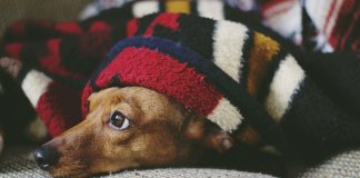 polskiekoldry - koce bawełniane 2 - Pawel.jpg